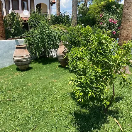 Private Pool At Dalyan فيلة أورتاجا