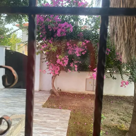 Private Pool At Dalyan أورتاجا